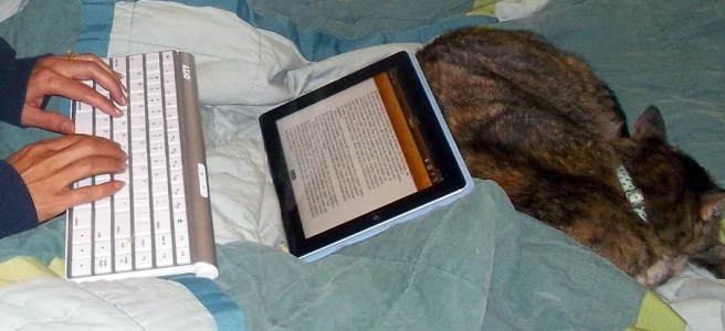 cat and iPad