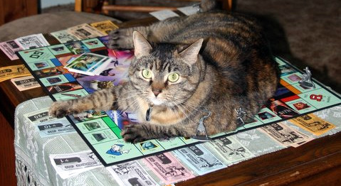 Monopoly cat Monopoly