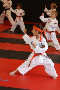 Elena karate
