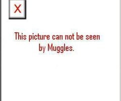 Muggle error