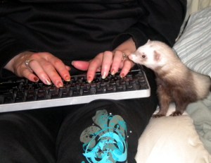 freelance writing... with more "help"