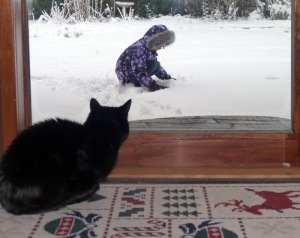 my parents' cat, Mila, watching Elena Grace play in the snow