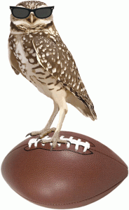 football owl