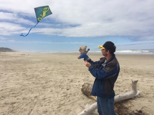 kite flying on the beach