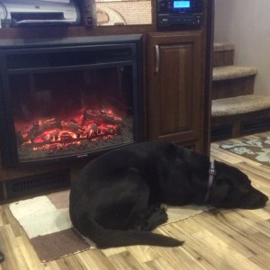 RV fireplace and dog