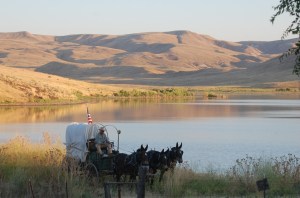 covered wagon Owyhee Rinker Buck
