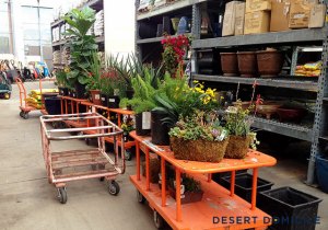 Home Depot plant cart