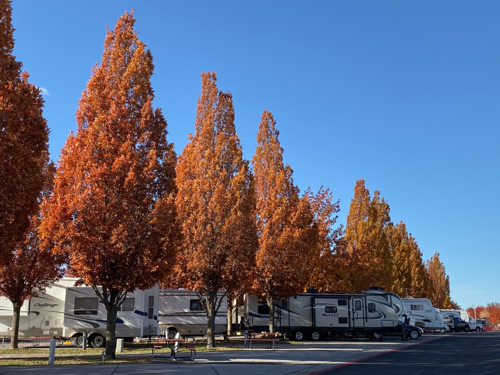 RV park autumn leaves