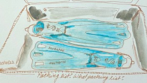 open suitcase, empty except for scuba fins