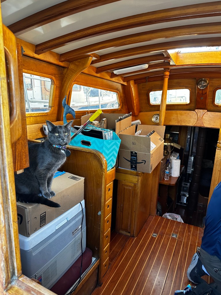 boat's cabin with boxes and a cat sitting on them