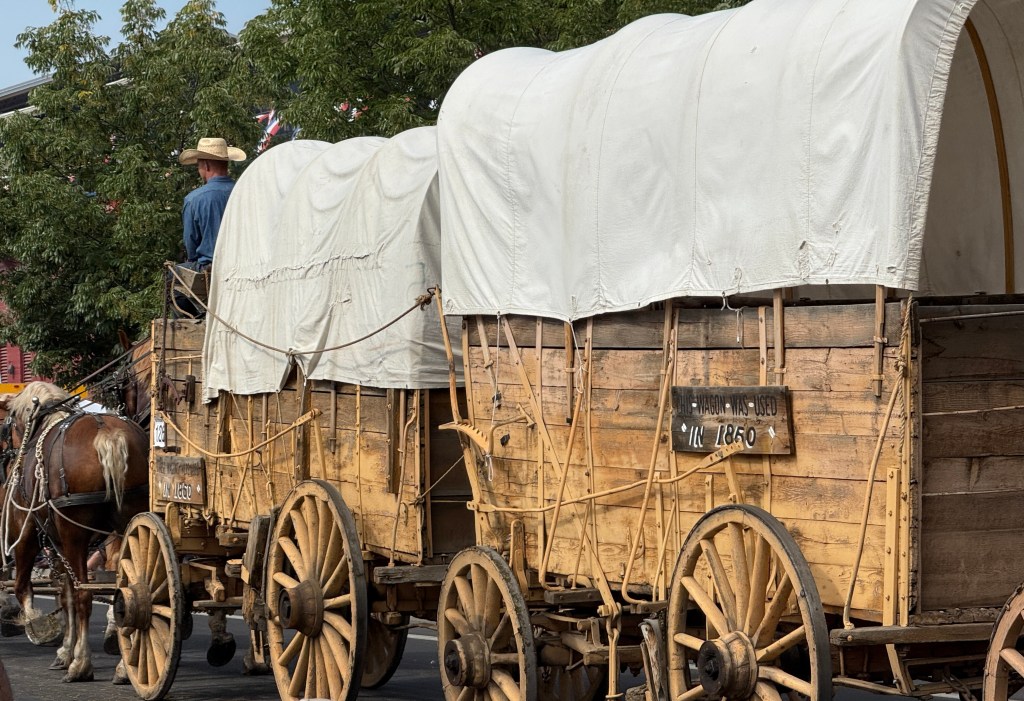 covered wagons