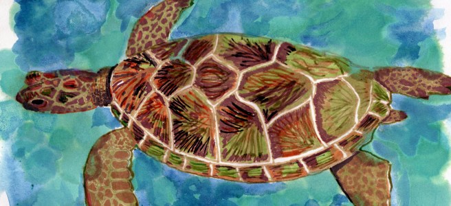 drawing of a sea turtle