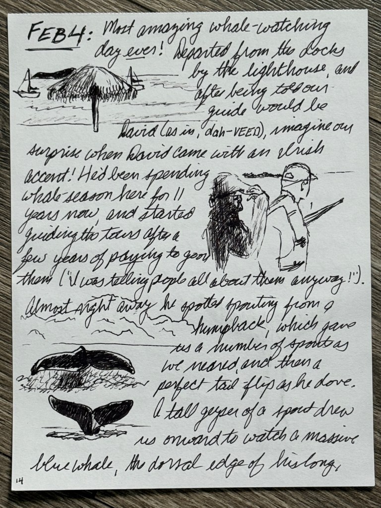 sketches from a journal page