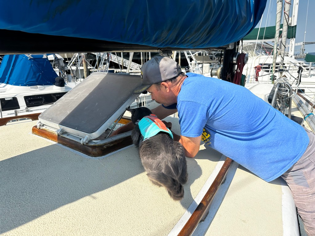 author's husband and cat, both looking down into a boat hatch