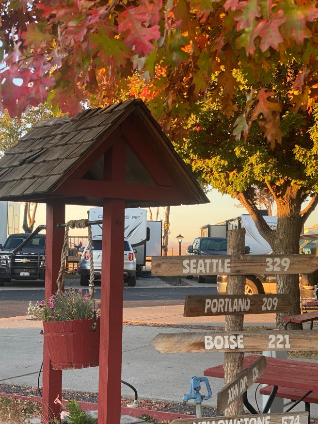 photo of autumn leaves above a wishing well